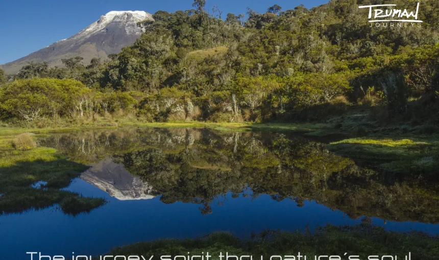 Trekking Palomar – Juntas